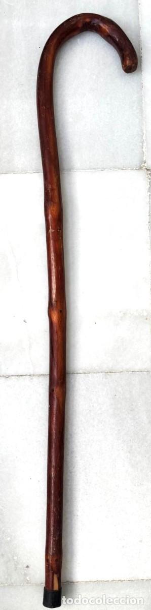 Antig&uuml;edades: BASTON DE MADERA RUSTICO Y EMPU&Ntilde;ADURA CURVA. BASTON-30