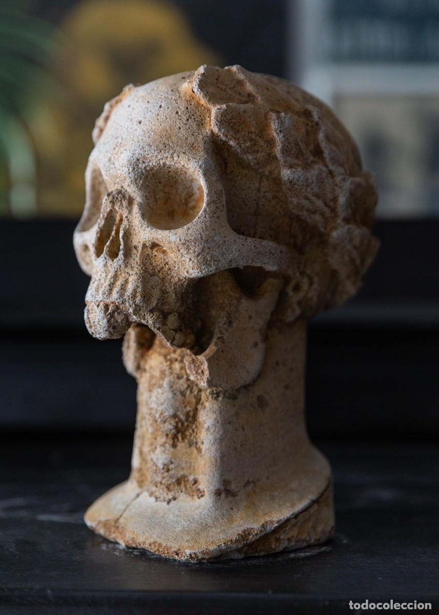 Antig&uuml;edades: Busto Cr&aacute;neo Laureado Vintage Memento Mori.