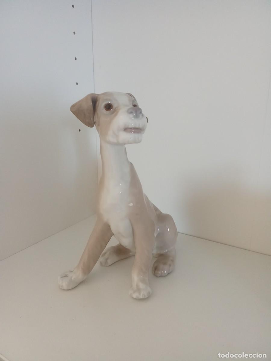 Antig&uuml;edades: LIQUIDACI&Oacute;N POR REFORMAS, PERRO LLADR&Oacute; 4896 JACK RUSSELL 20CM ORIGINAL