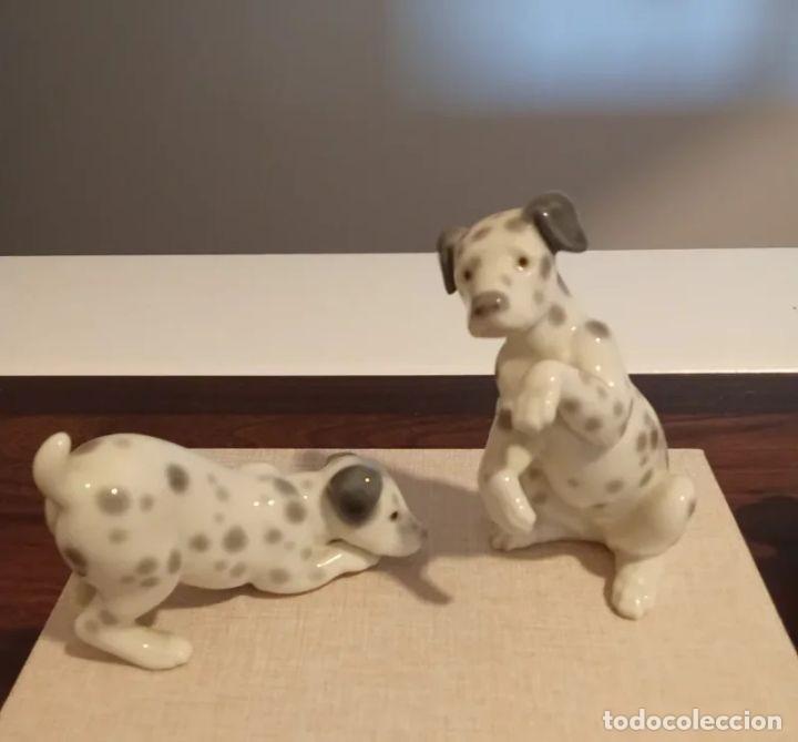 Antig&uuml;edades: LIQUIDACI&Oacute;N POR REFORMA. SET DE PERROS &rdquo;DALMATIAN&rdquo; DE LLADR&Oacute; DESCATALOGADOS