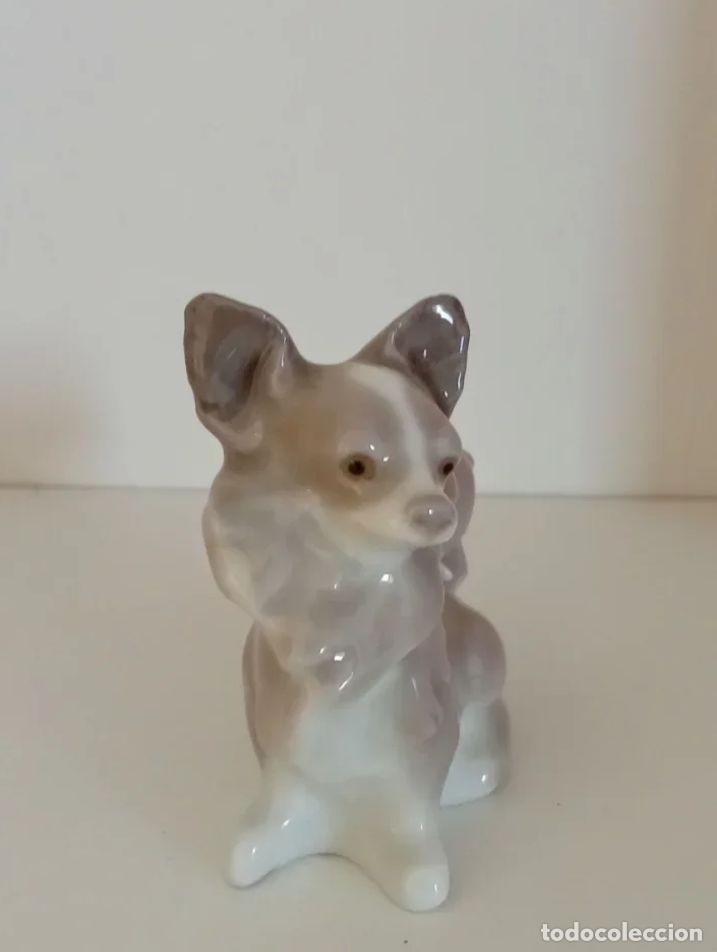 Antig&uuml;edades: LIQUIDACI&Oacute;N POR REFORMA, PERRO LLADR&Oacute; CHIHUAHUA 01008076 DESCATALOGADO