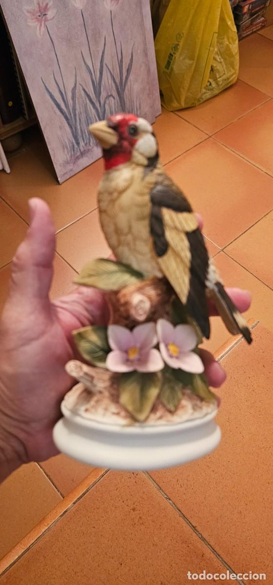 Antig&uuml;edades: Muy esoecial porcelana jilguero y firmada