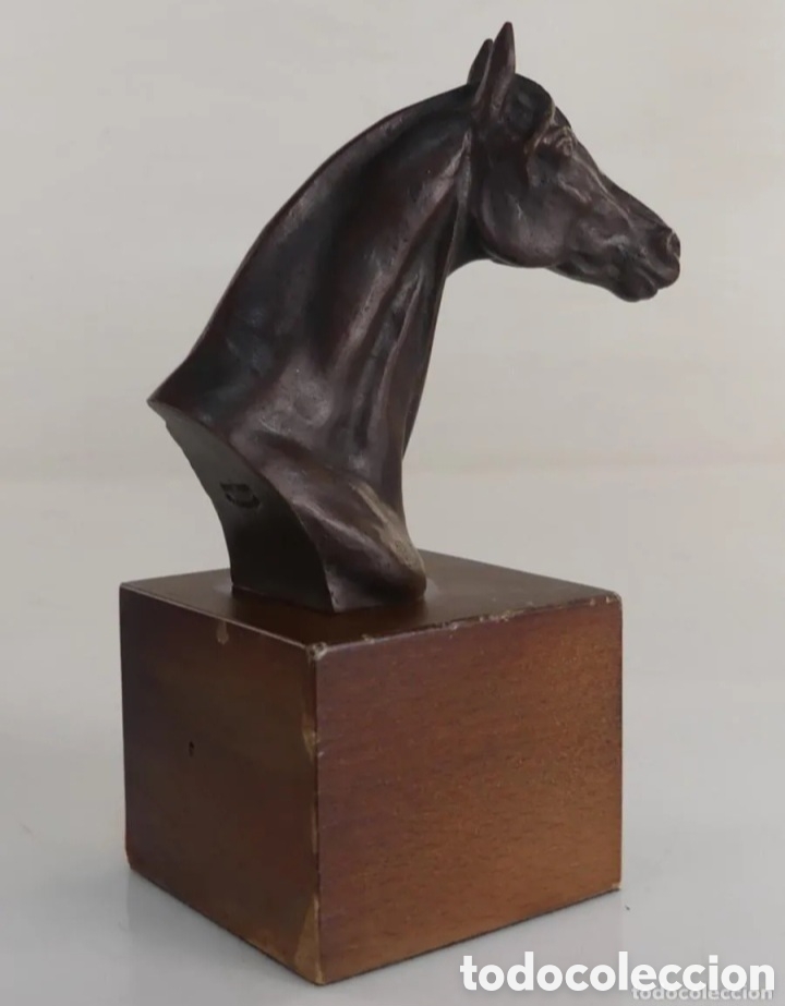 Antig&uuml;edades: Trofeo h&iacute;pica bronce - Foto 4