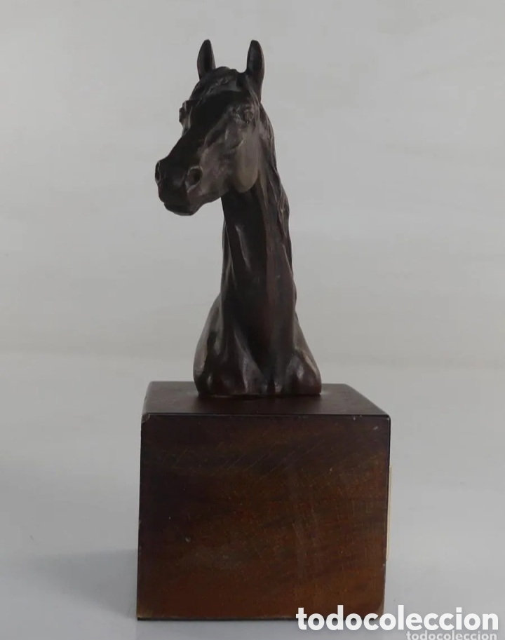 Antig&uuml;edades: Trofeo h&iacute;pica bronce - Foto 5