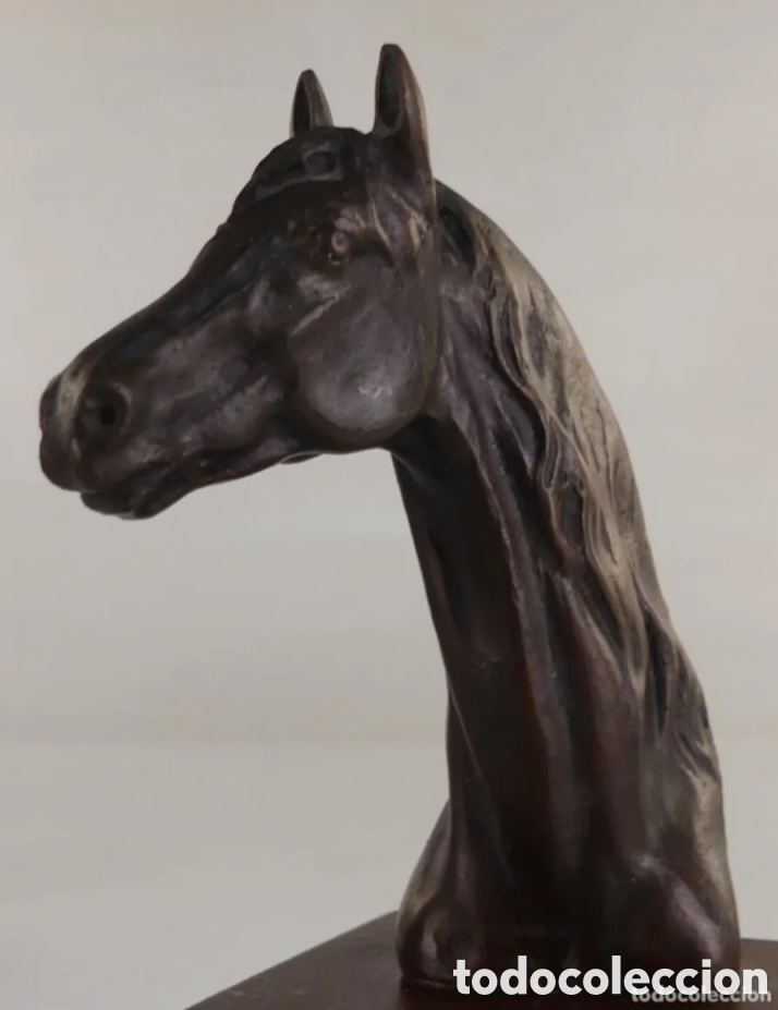 Antig&uuml;edades: Trofeo h&iacute;pica bronce - Foto 6