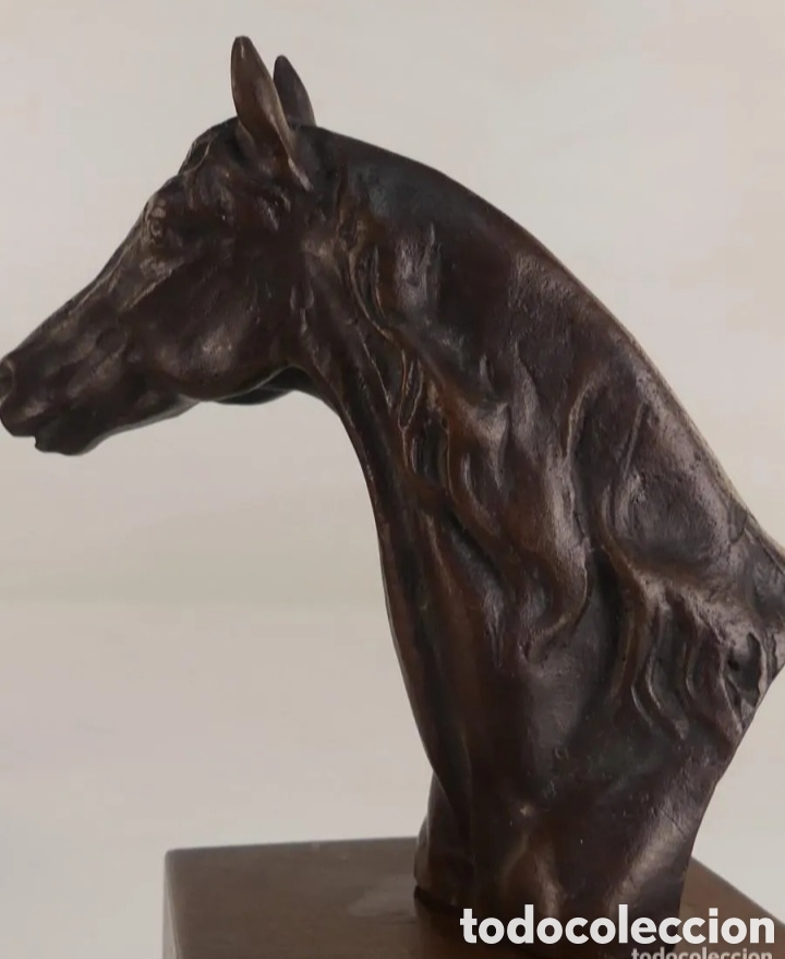 Antig&uuml;edades: Trofeo h&iacute;pica bronce - Foto 8