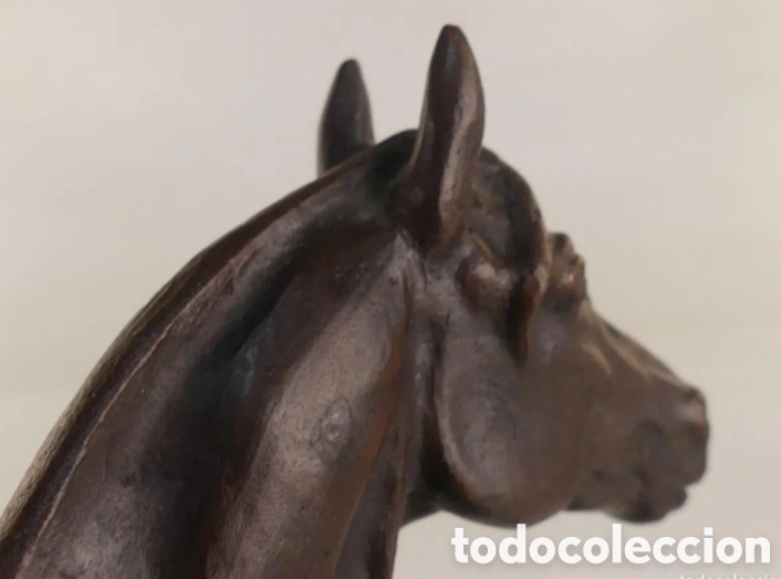 Antig&uuml;edades: Trofeo h&iacute;pica bronce - Foto 9