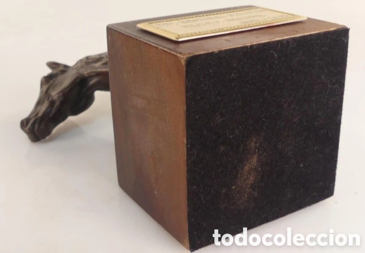 Antig&uuml;edades: Trofeo h&iacute;pica bronce - Foto 13