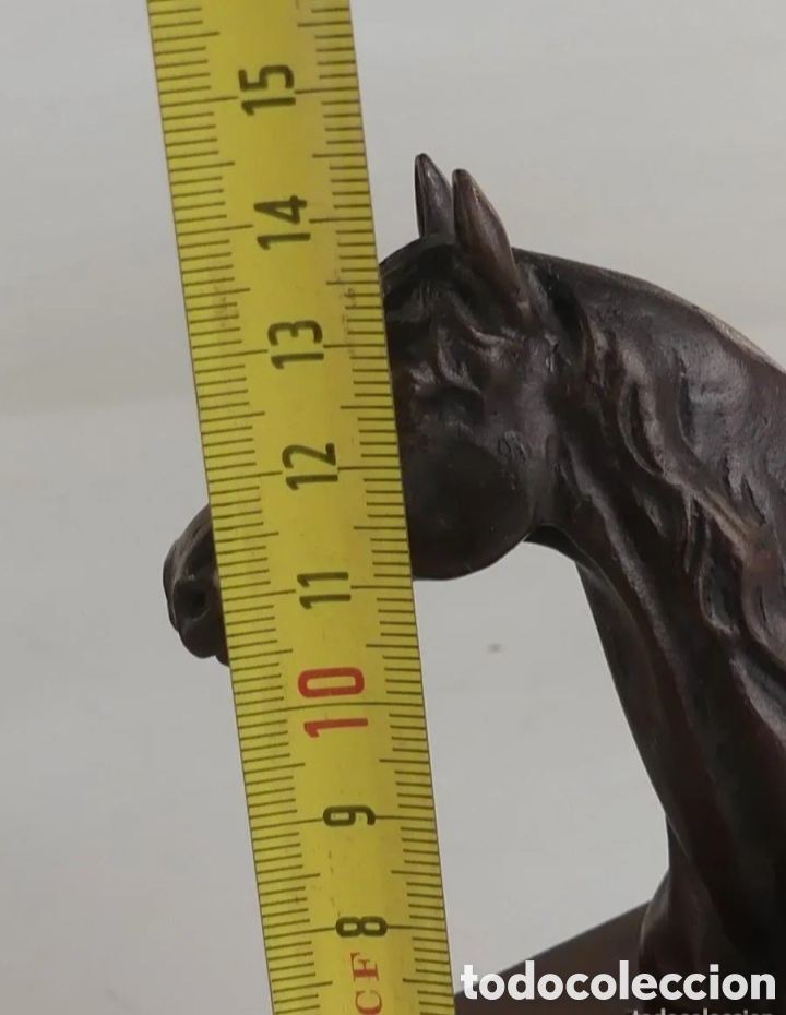Antig&uuml;edades: Trofeo h&iacute;pica bronce - Foto 15