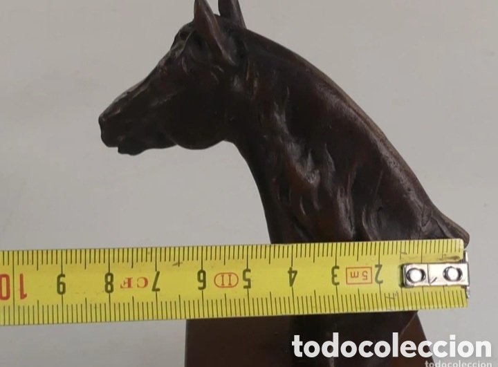 Antig&uuml;edades: Trofeo h&iacute;pica bronce - Foto 16