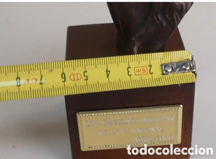 Antig&uuml;edades: Trofeo h&iacute;pica bronce - Foto 17