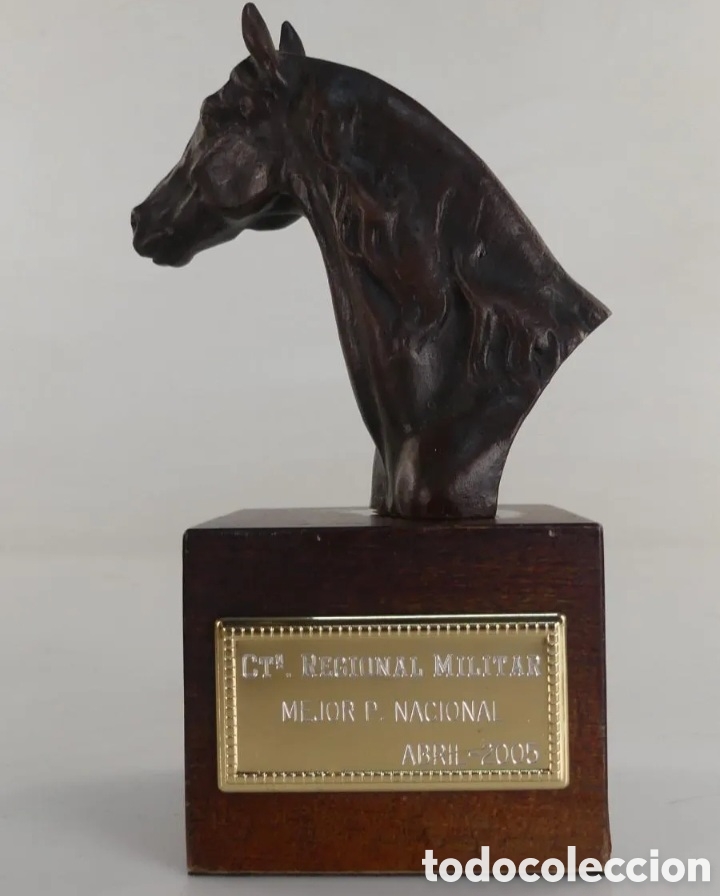 Antig&uuml;edades: Trofeo h&iacute;pica bronce