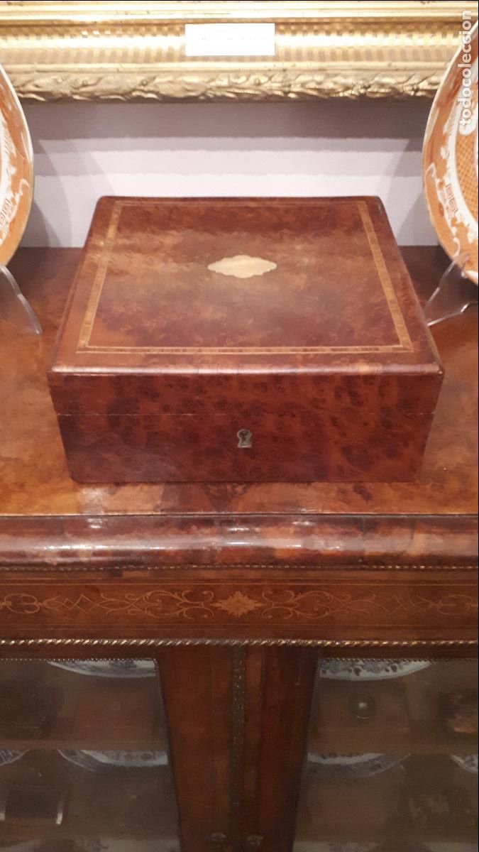 Antig&uuml;edades: Caja de ra&iacute;z de cedro. SIGLO XIX.