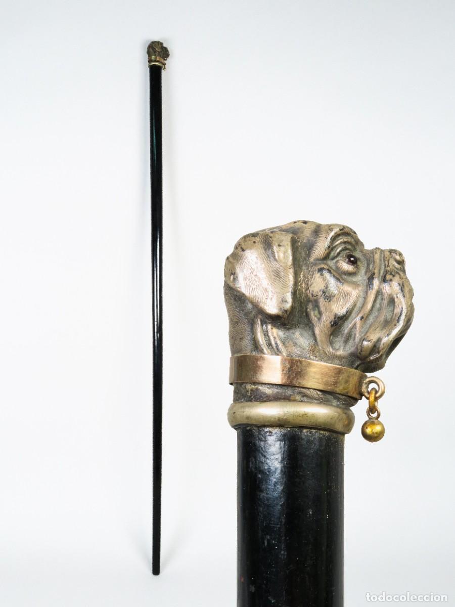 Antig&uuml;edades: Bast&oacute;n de madera con empu&ntilde;adura de plata con forma de cabeza de bulldog principios del siglo XX