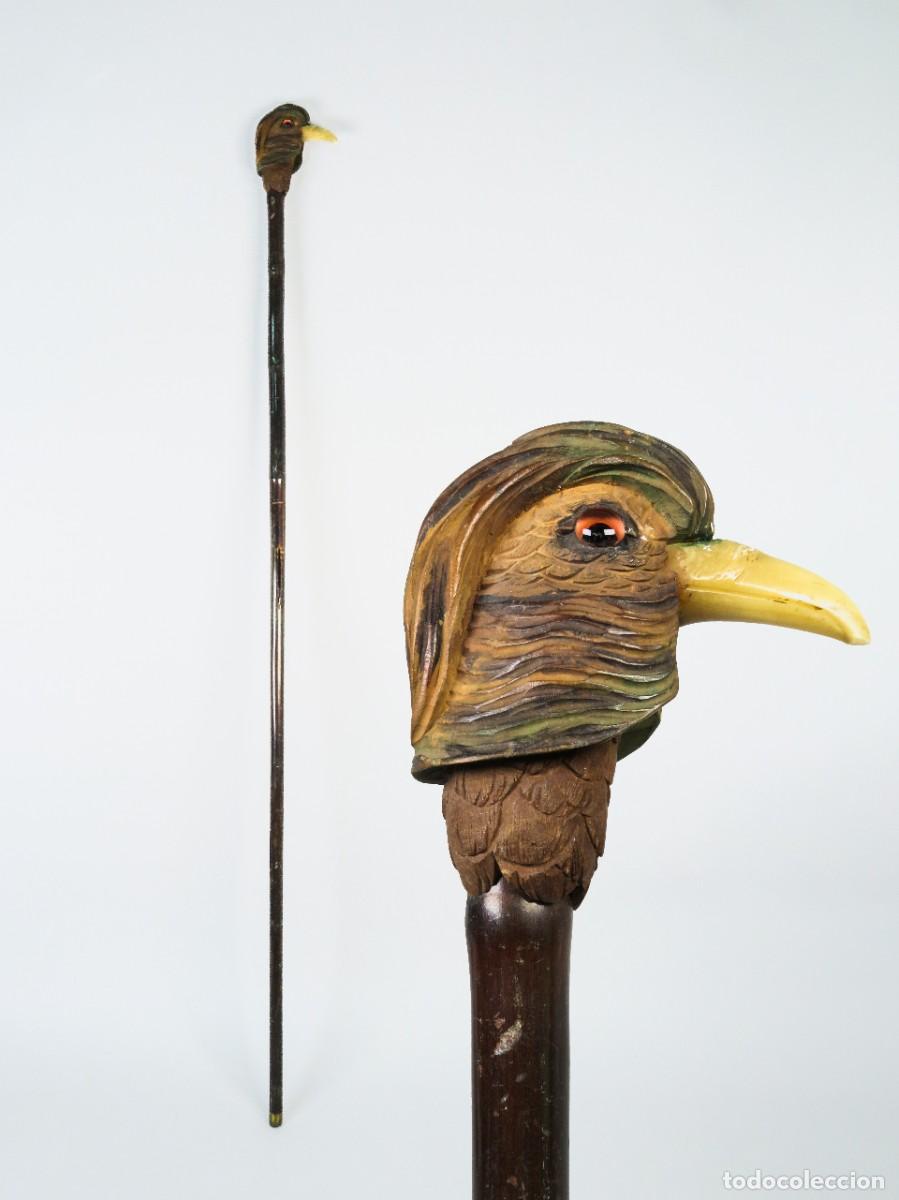 Antig&uuml;edades: Bast&oacute;n de madera con empu&ntilde;adura selva negra tallada cabeza de fais&aacute;n principios del siglo XX