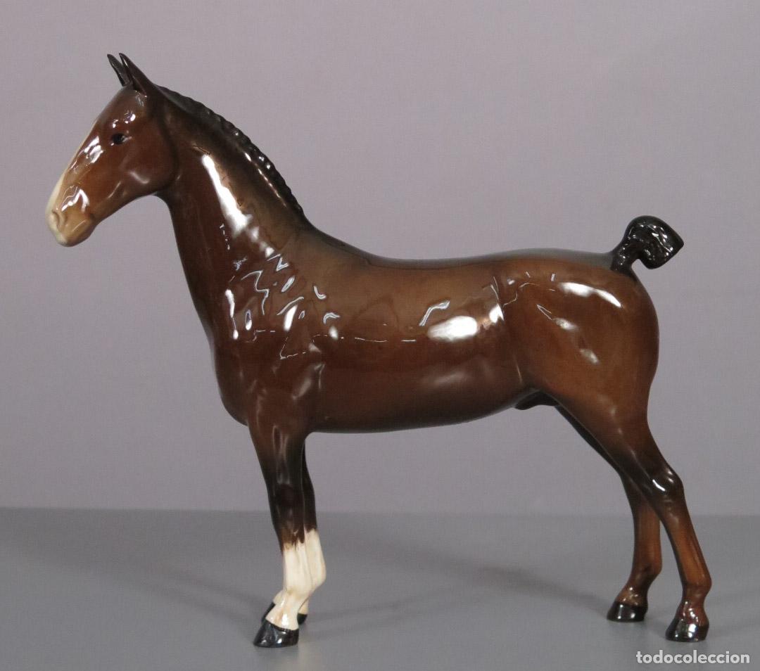 Antig&uuml;edades: CABALLO. PORCELANA. BESWICK. SIGLO XX