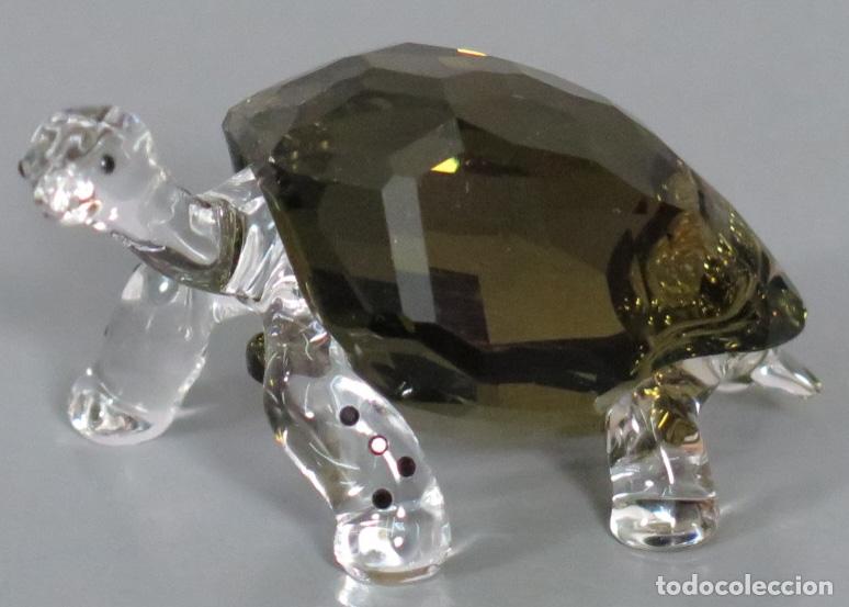 Antig&uuml;edades: GALAPAGOS TORTOISE. 995036 SWAROVSKI
