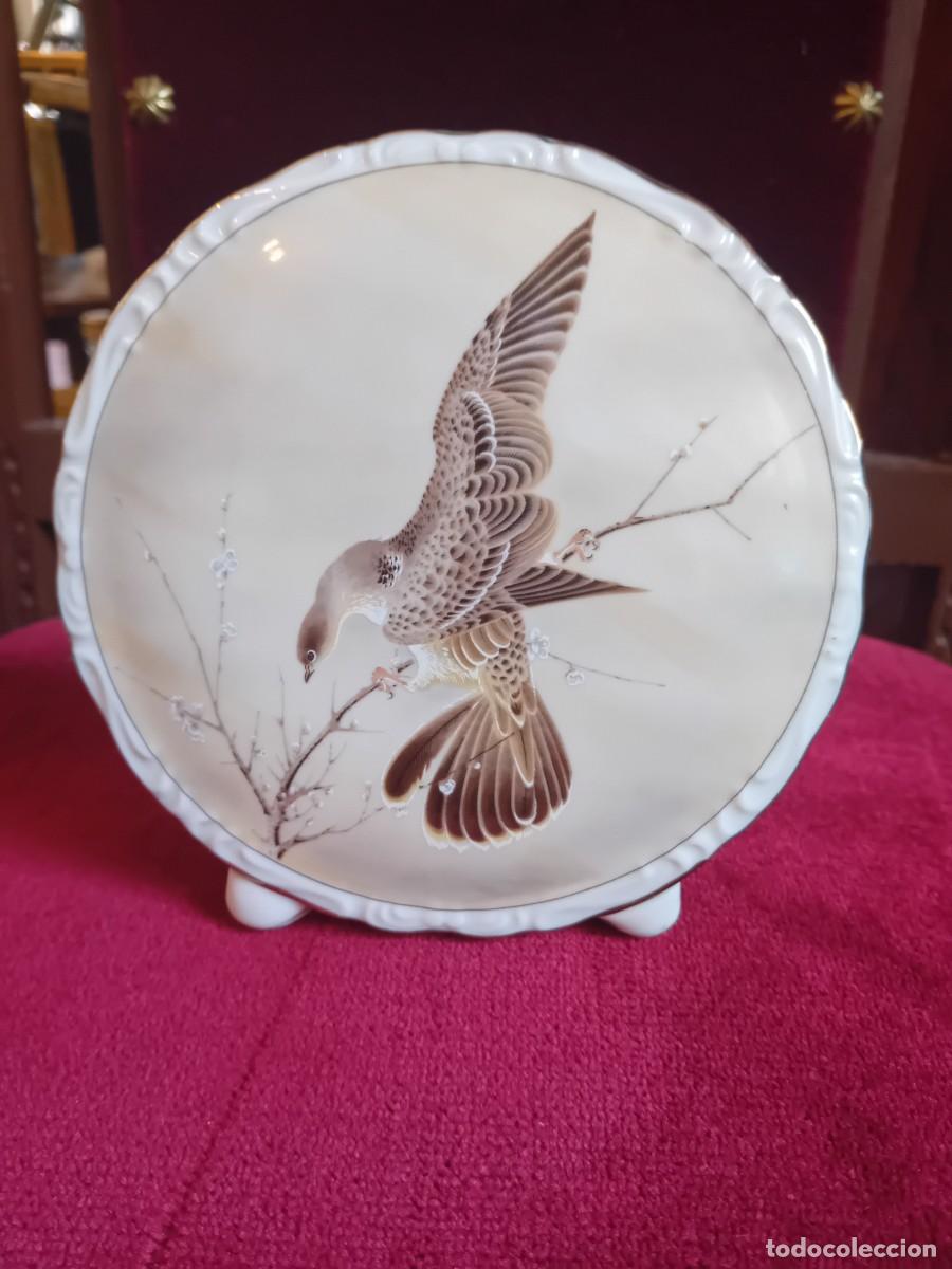 Antiques: Expositor,paloma torcaz de Saji, porcelana d&eacute;cada de los 70