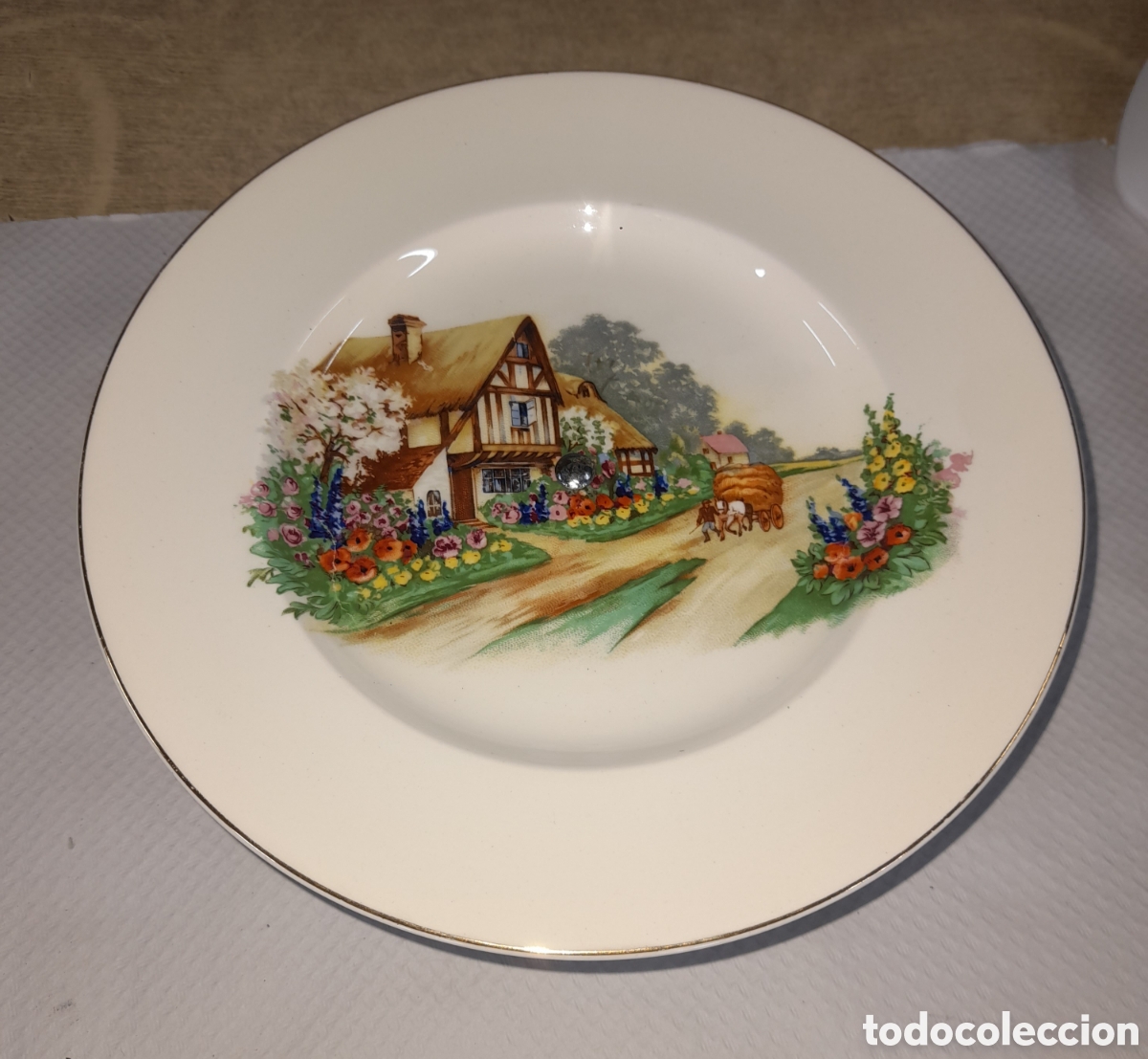 Antig&uuml;edades: Fuente de pastas Empire - Foto 1