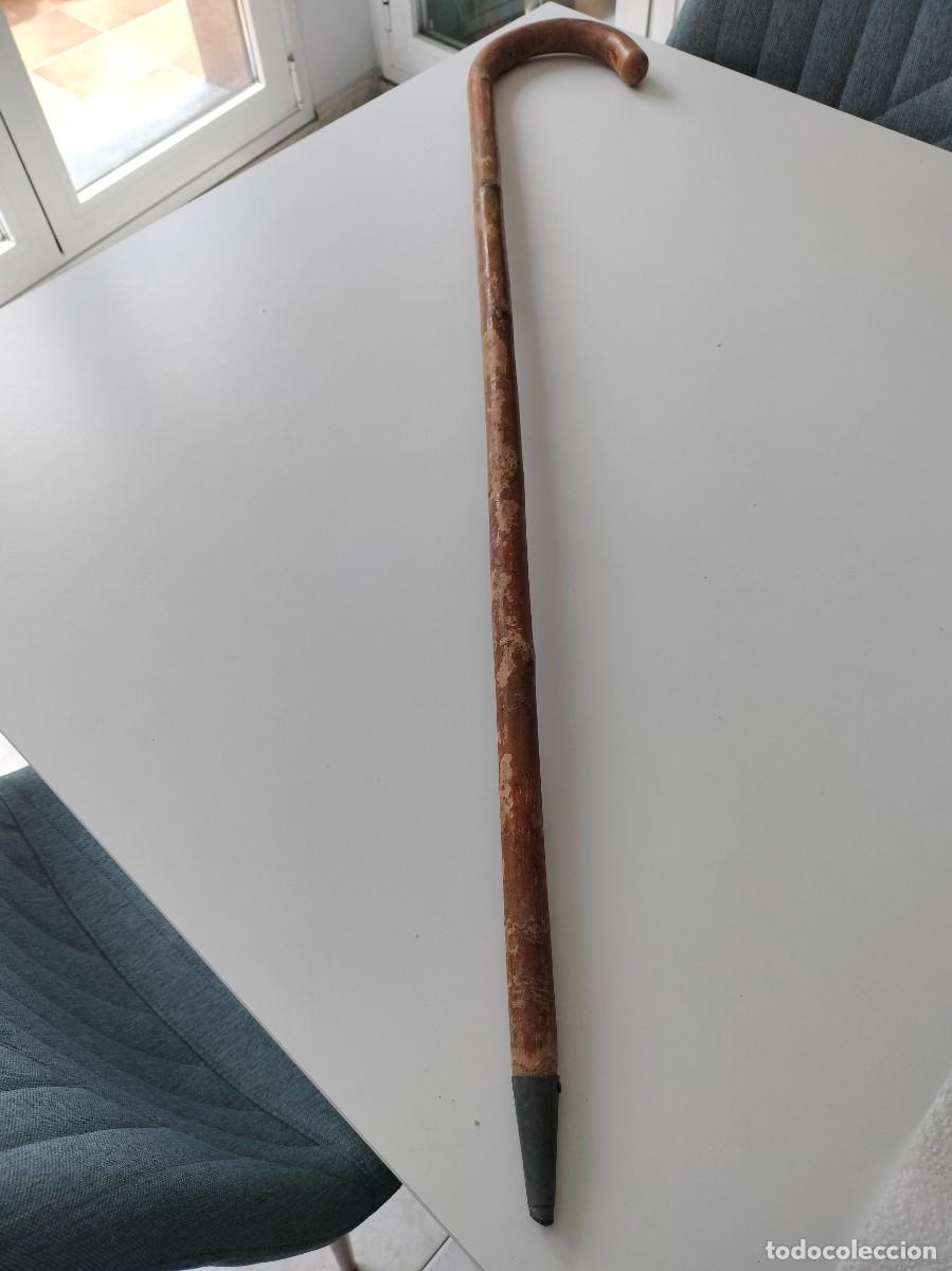 Antig&uuml;edades: ANTIGUO BASTON DE MADERA CON REGAT&Oacute;N PARA PASEO POR EL CAMPO.
