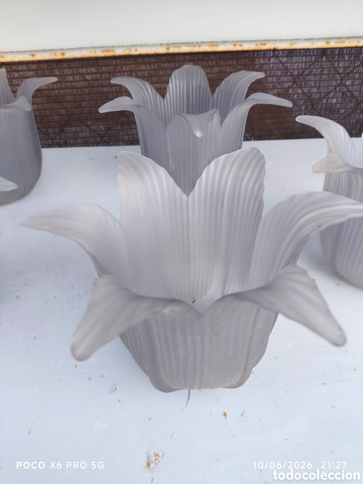 Antig&uuml;edades: 5 Tulipas tulip&aacute;n de 5 cm