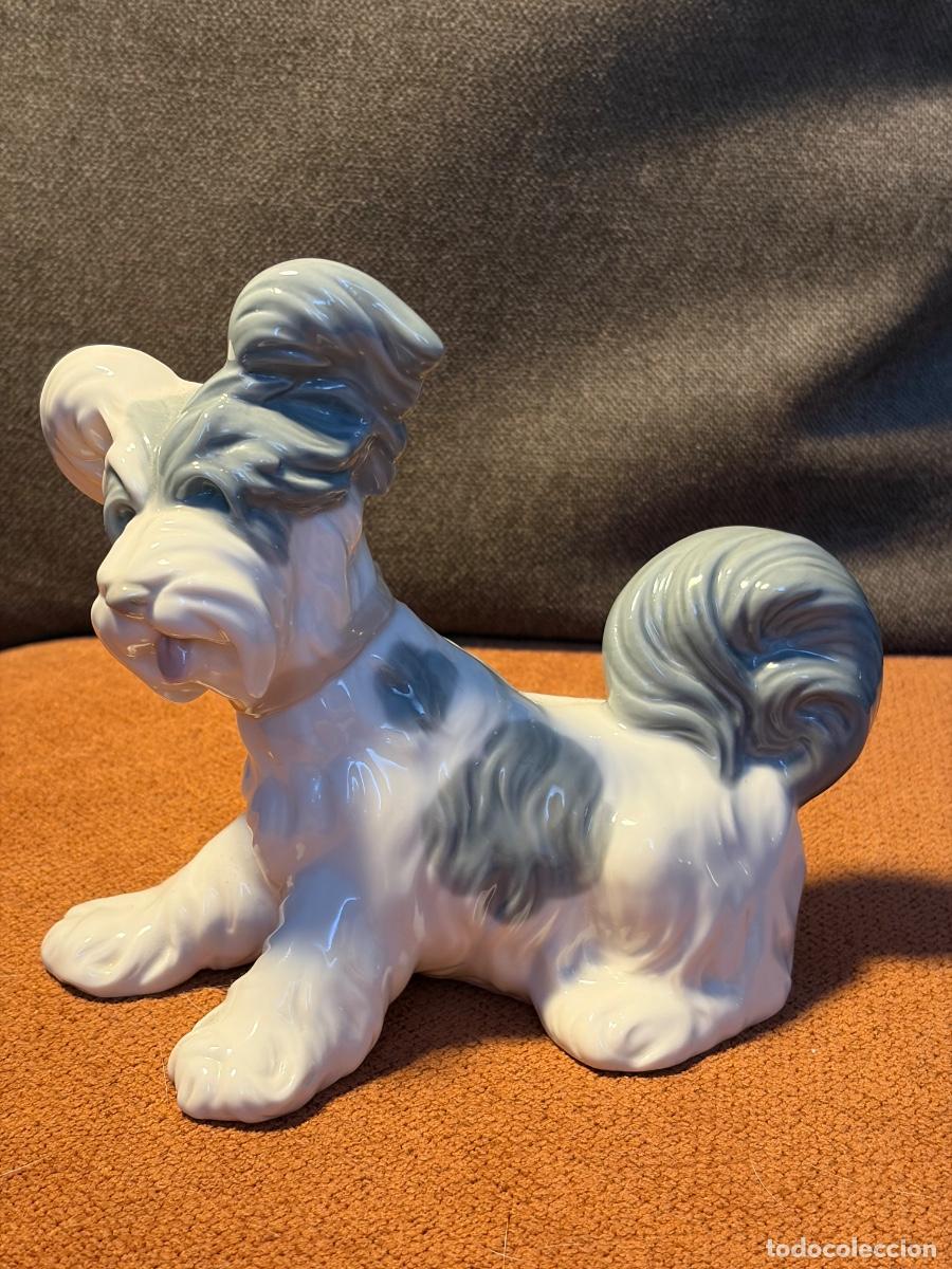 Antig&uuml;edades: Figura Lladr&oacute; perro de pelo largo blanco y gris, porcelana original Espa&ntilde;a