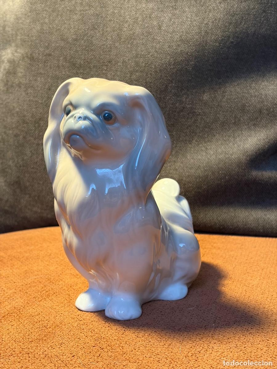Antig&uuml;edades: Figura Lladr&oacute; perro tipo pequin&eacute;s blanco, porcelana original Espa&ntilde;a