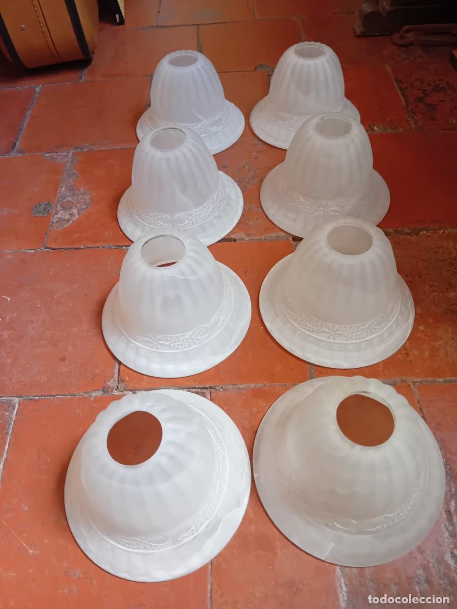 Antig&uuml;edades: 8 tulipas con greca en relieve y agallonadas - Foto 1