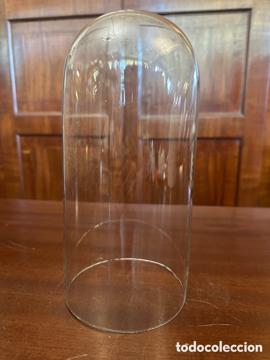 Antig&uuml;edades: FANAL DE CRISTAL - CAMPANA - SIN BASE. SIGLO XIX