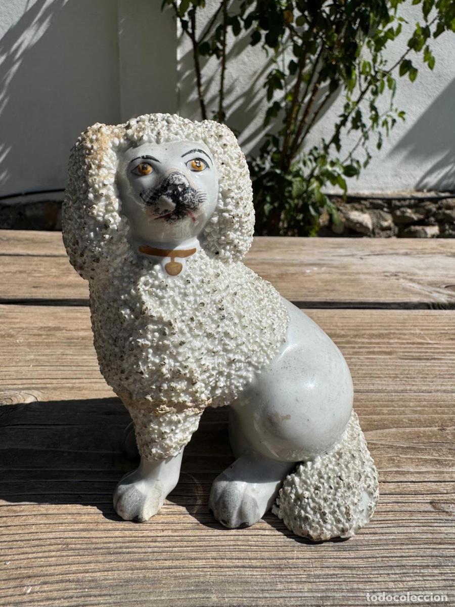 Antig&uuml;edades: Figura porcelana perro caniche ingl&eacute;s porcelana staffordshire 14cms s XIX XX