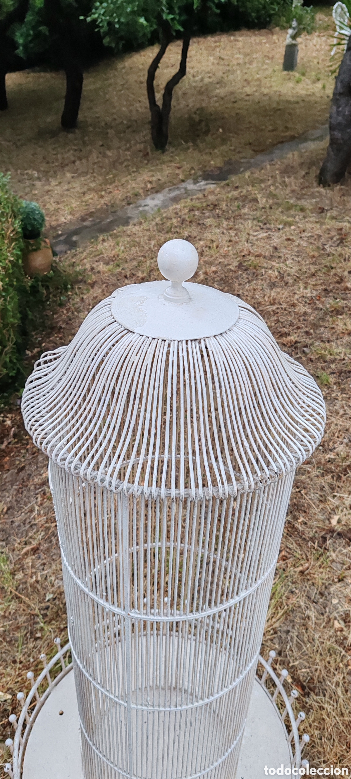 Antig&uuml;edades: ANTIGUA PAJARERA DE JARD&Iacute;N - Foto 4