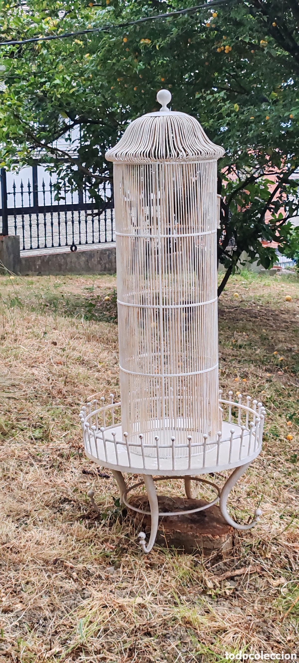 Antig&uuml;edades: ANTIGUA PAJARERA DE JARD&Iacute;N - Foto 5