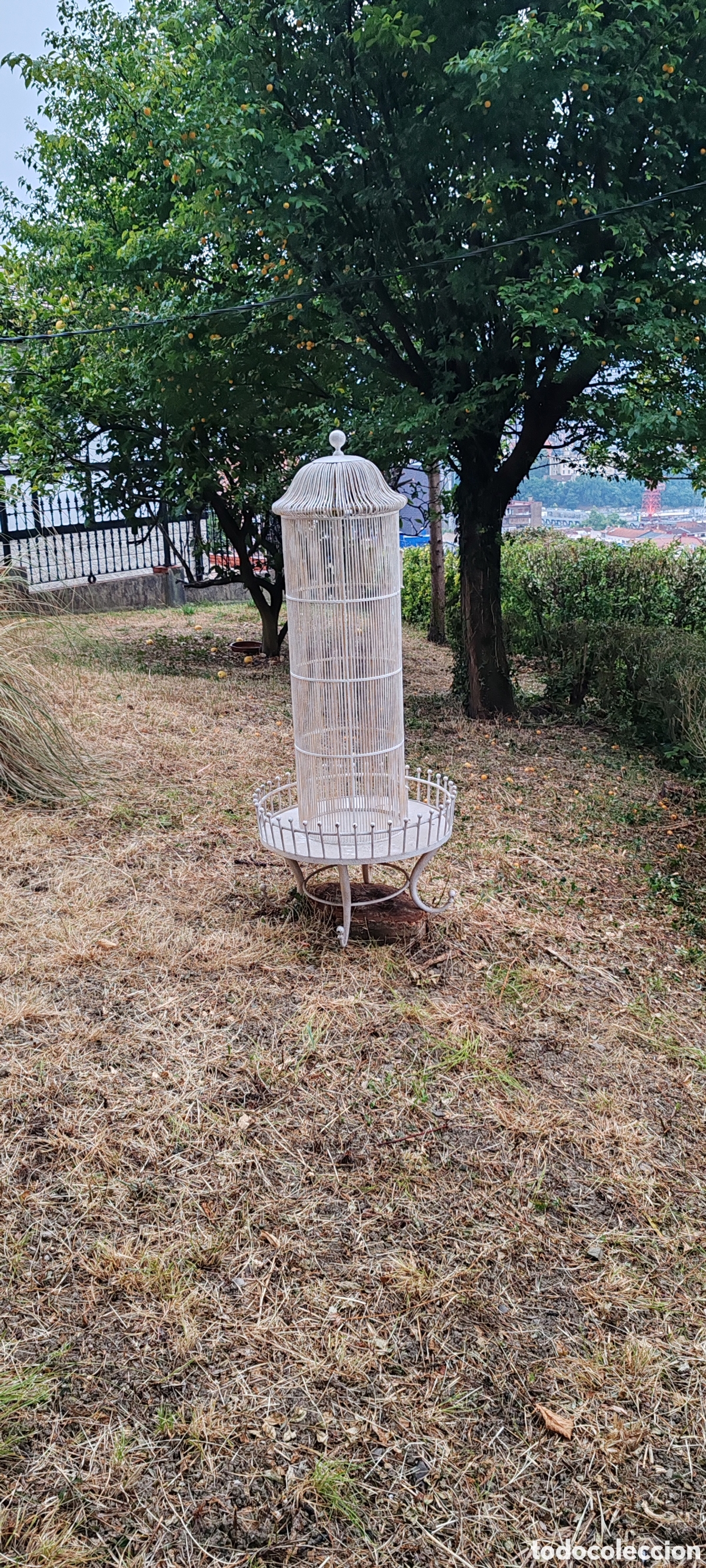 Antig&uuml;edades: ANTIGUA PAJARERA DE JARD&Iacute;N - Foto 6