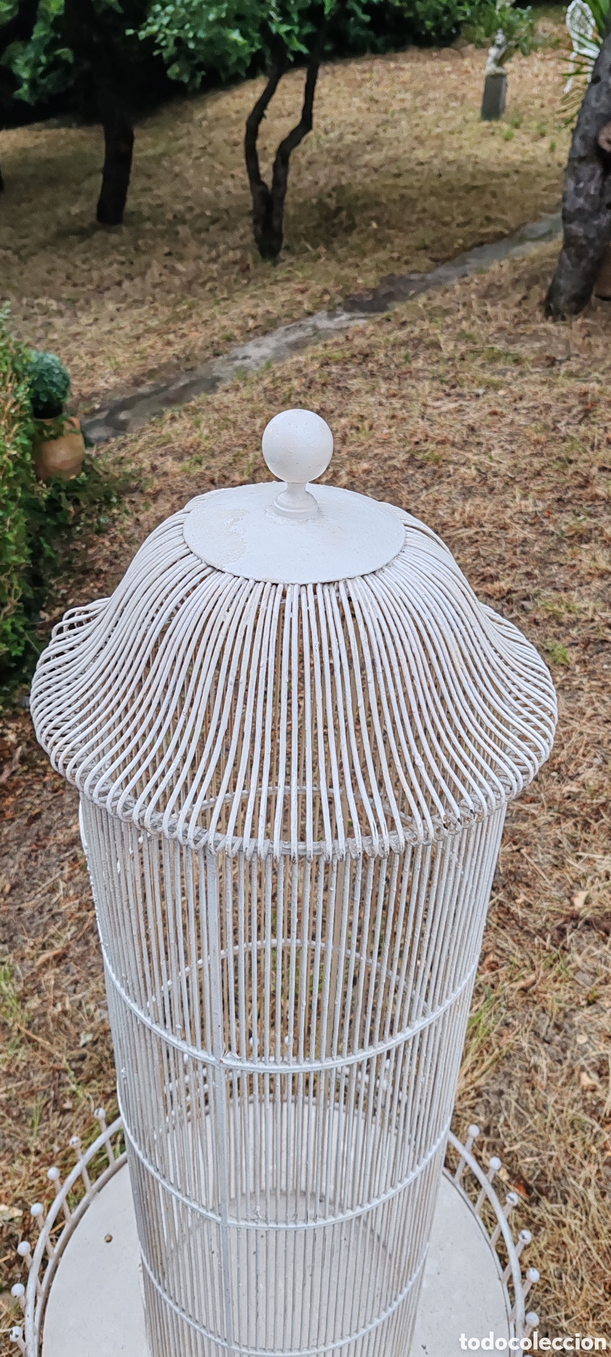 Antig&uuml;edades: ANTIGUA PAJARERA DE JARD&Iacute;N - Foto 11