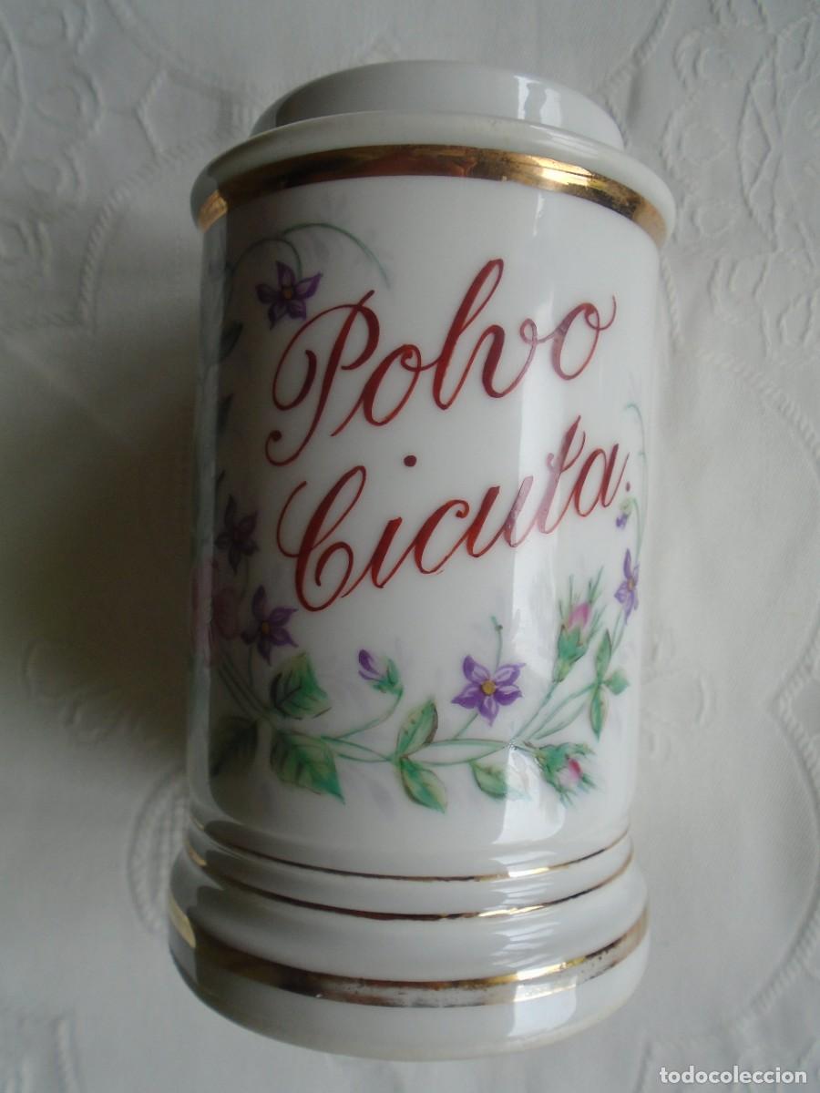 Antig&uuml;edades: VIEJO ALBARELO DE PORCELANA BELLAMENTE PINTADO PARA POLVO DE CICUTA.