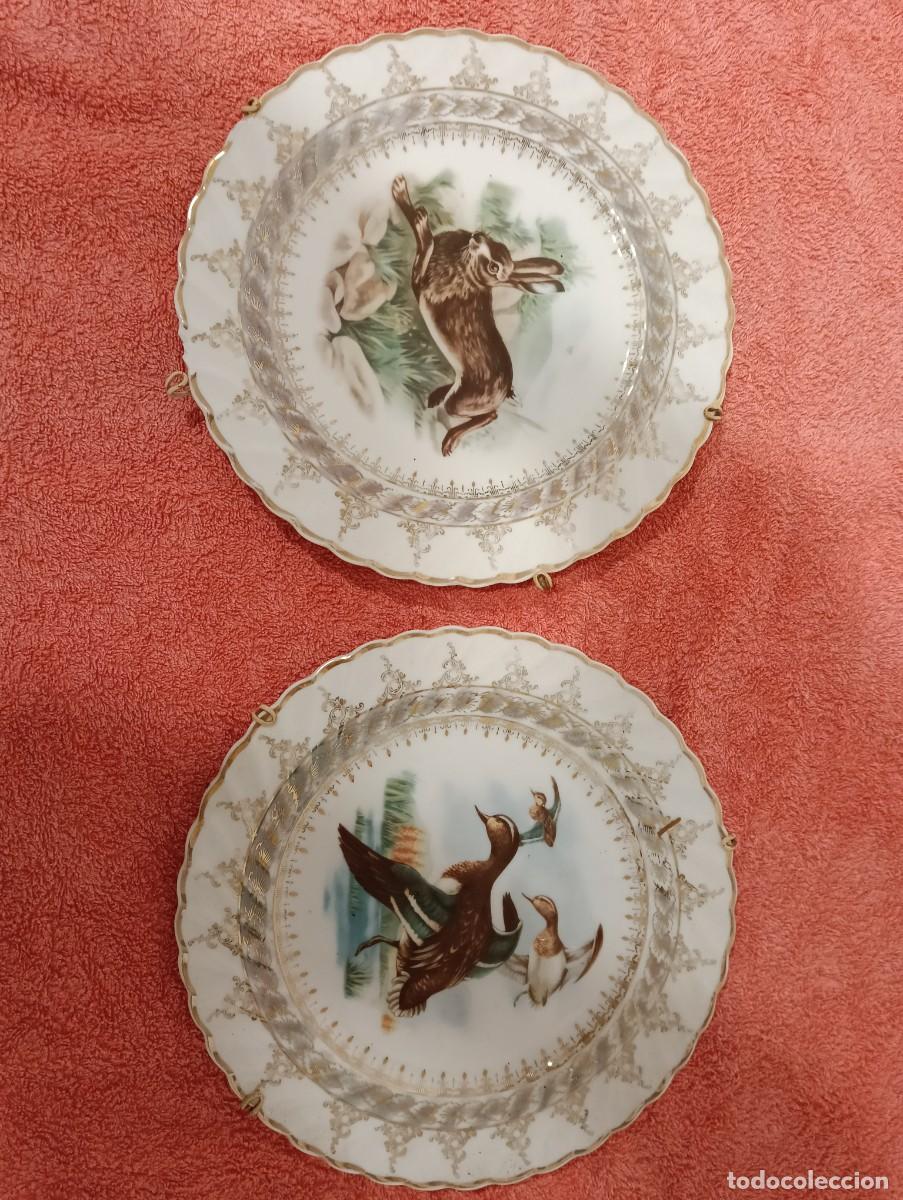 Antig&uuml;edades: Pareja de Platos Decorativos de Porcelana - Escenas de Caza (&Aacute;nade/Patos y Liebre) - 24,5 cm