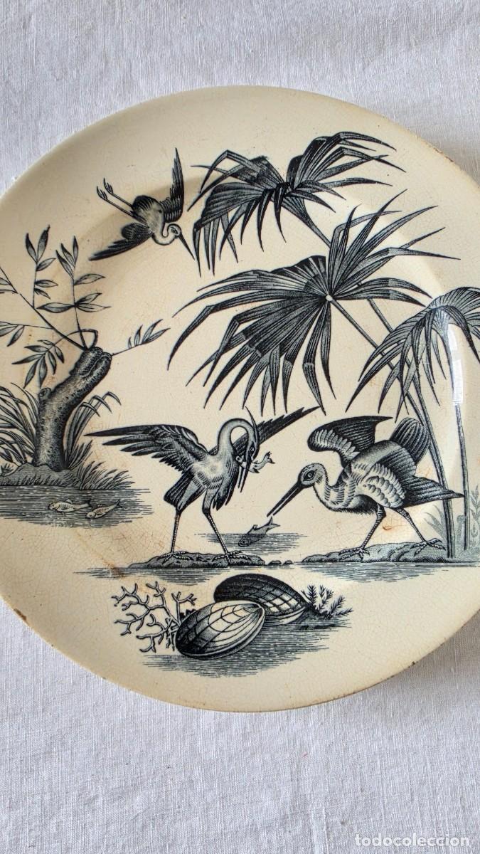 Antig&uuml;edades: Antiguo Plato de Loza Francesa M&C&ordm; (Trousseau) S. XIX &ndash; Modelo &rdquo;Dulcigno&rdquo; Estilo Japonista
