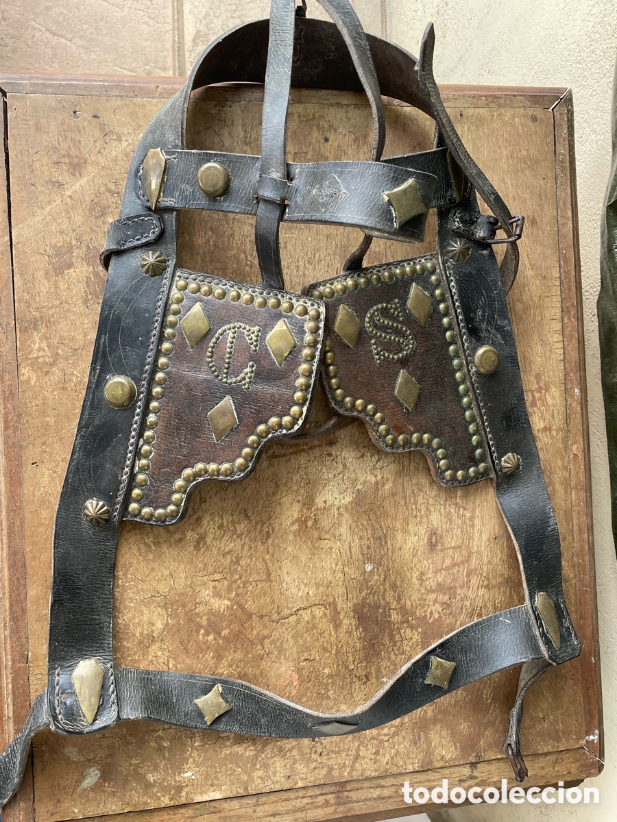 Antig&uuml;edades: Antigua Cabezada, cabezal o jaquima de gala en cuero para mula o caballo.