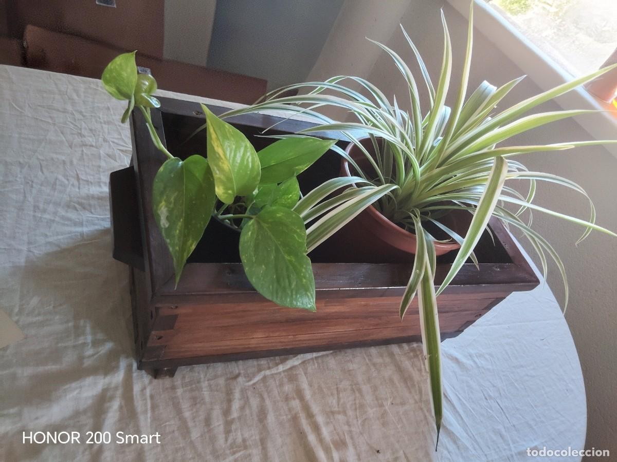 Antig&uuml;edades: Macetero mueble jardinera - Foto 2