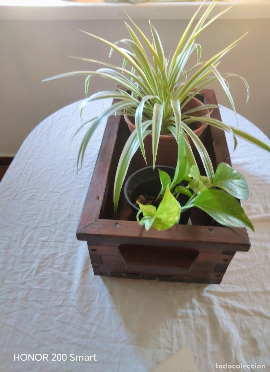 Antig&uuml;edades: Macetero mueble jardinera - Foto 3
