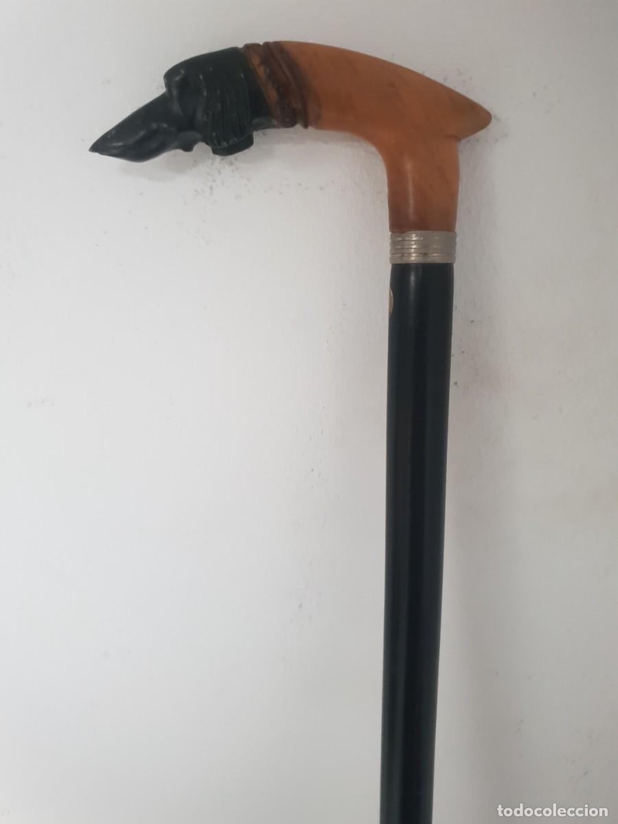 Antig&uuml;edades: Baston de madera de olivo cabeza de perro - Foto 3
