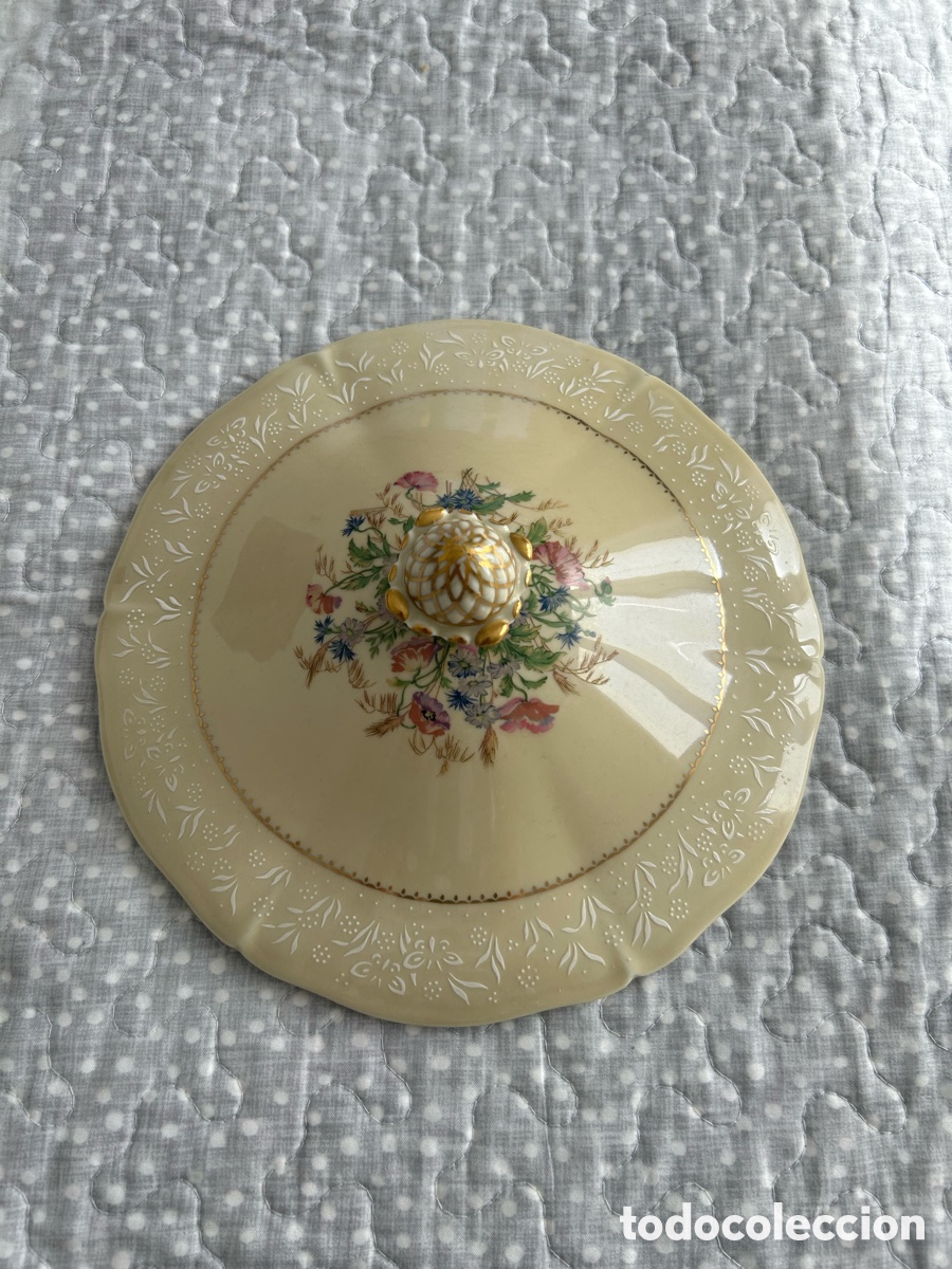 Antig&uuml;edades: Preciosa tapa de sopera
