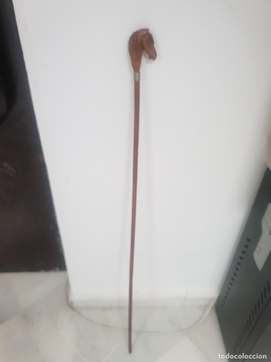 Antig&uuml;edades: Baston fusta madera cabeza caballo - Foto 2