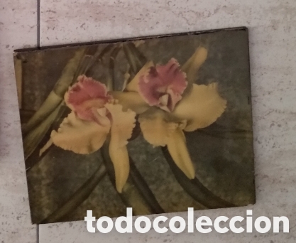 Antig&uuml;edades: Lote de cuadros vintage - Foto 4