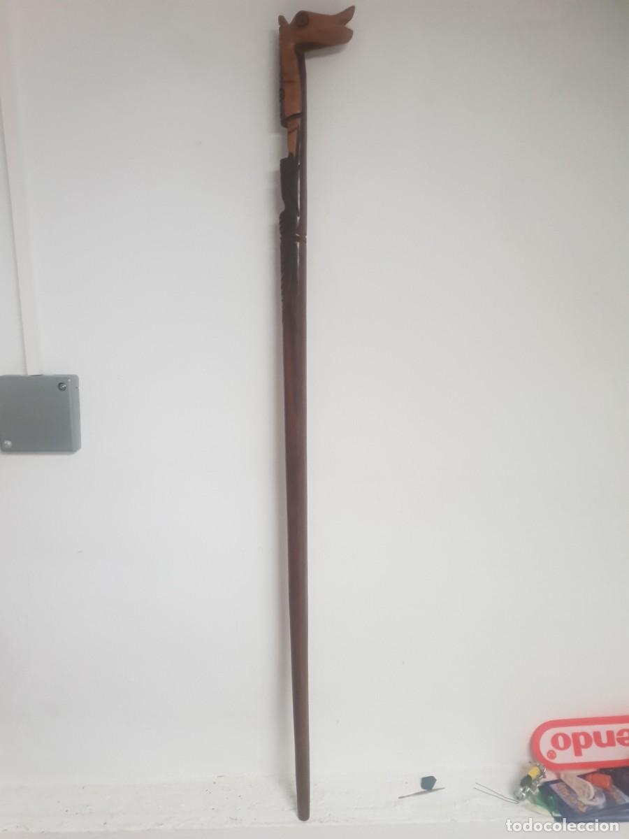 Antig&uuml;edades: Baston madera teka cabeza de caballo - Foto 2