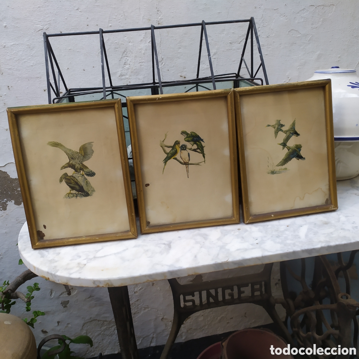 Antig&uuml;edades: Lote de 3 cuadros antiguos de aves, miden 19x25 cm e incluyen cristal. Los de las fotos y en el esta