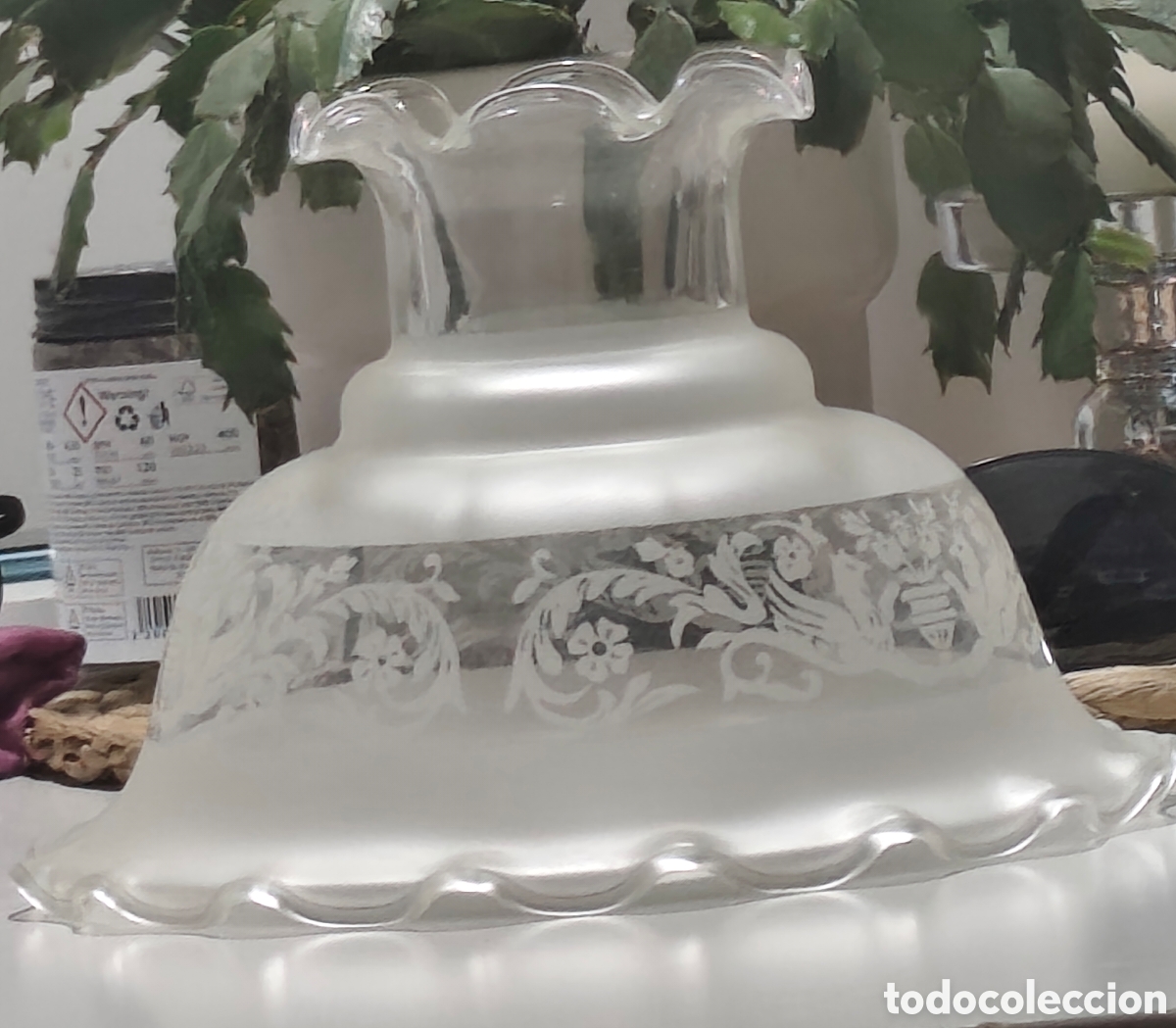 Antig&uuml;edades: Pantalla tulipa festoneada dos lados Art Nouveau. Boca grande 20 cm. Motivos her&aacute;ldica
