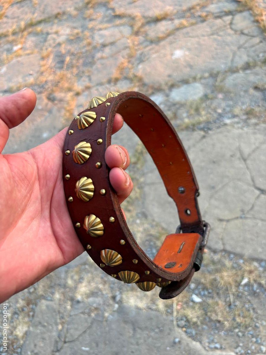 Antig&uuml;edades: Antiguo. Collar de perro de alta calidad piel , restaurado