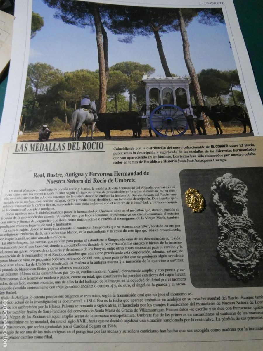 Antig&uuml;edades: INSIGNIA MEDALLITA ROCIERA + L&Aacute;MINA + HISTORIA MEDALLA. HERMANDAD VIRGEN UMBRETE SEVILLA 7