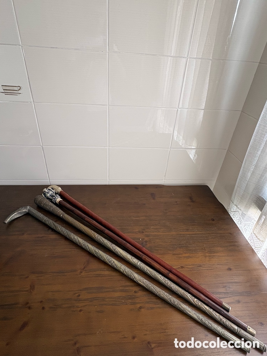 Antig&uuml;edades: Lote de 4 bastones antiguos de colecci&oacute;n &ndash; Empu&ntilde;aduras decoradas, cabeza de ave y perro